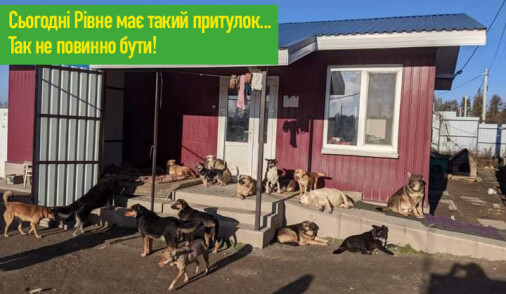 "Вирішили включити в пріоритетний перелік об'єктів “соц-економу” будівництво притулку для бездомних тварин", - Олександр Ковальчук